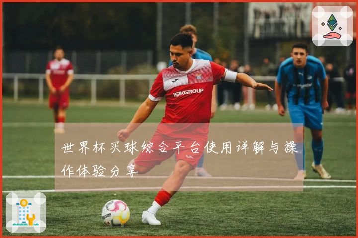 世界杯买球综合平台使用详解与操作体验分享