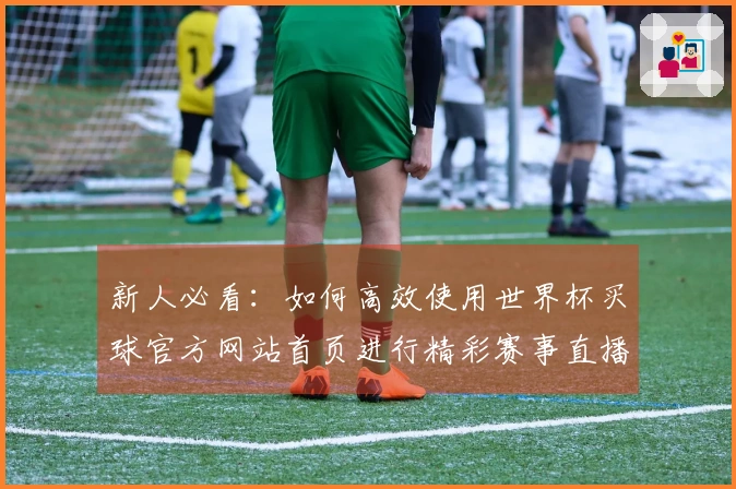 新人必看：如何高效使用世界杯买球官方网站首页进行精彩赛事直播体验