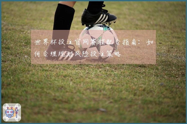 世界杯投注官网赛程配合指南：如何合理规划风险投注策略