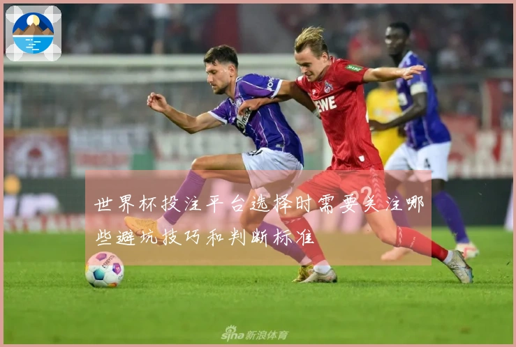 世界杯投注平台选择时需要关注哪些避坑技巧和判断标准