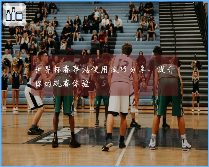 世界杯赛事站使用技巧分享，提升你的观赛体验