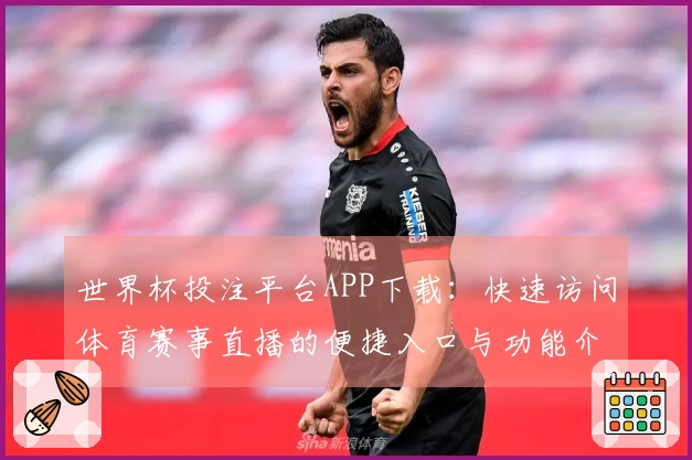 世界杯投注平台APP下载：快速访问体育赛事直播的便捷入口与功能介绍