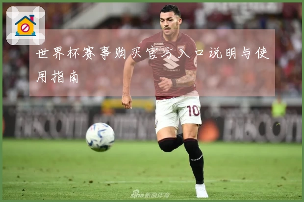 世界杯赛事购买官方入口说明与使用指南