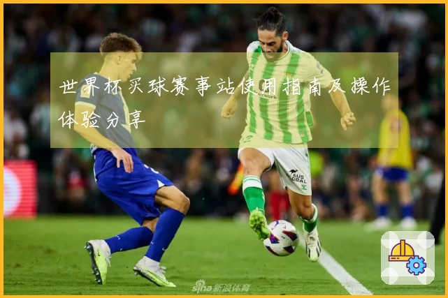 世界杯买球赛事站使用指南及操作体验分享