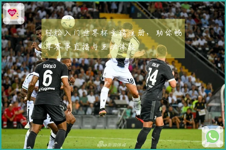 轻松入门世界杯竞猜注册，助你畅享赛事直播与互动体验