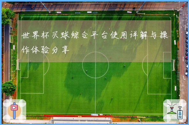 世界杯买球综合平台使用详解与操作体验分享