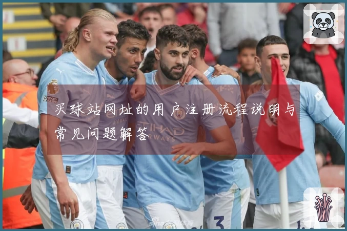 买球站网址的用户注册流程说明与常见问题解答