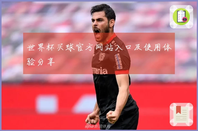 世界杯买球官方网站入口及使用体验分享