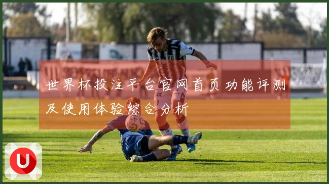 世界杯投注平台官网首页功能评测及使用体验综合分析