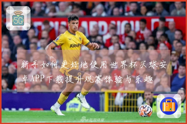 新手如何更好地使用世界杯买球安卓APP下载提升观赛体验与乐趣