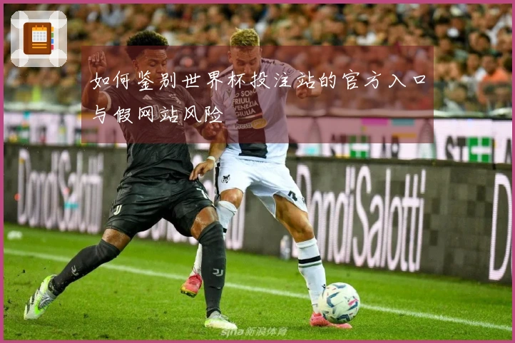 如何鉴别世界杯投注站的官方入口与假网站风险